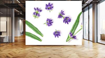 Lavender flowers twigs isolated on white background. Top view, flat lay Wall mural