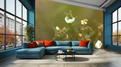 Fondo de plantas y flores del bosque. Wall mural