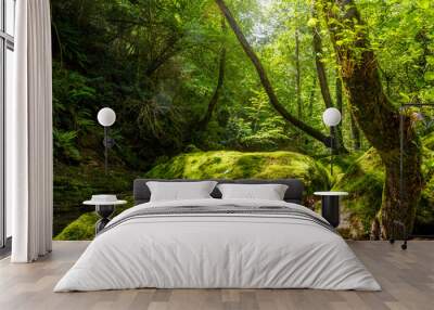 Green Landscape Wall mural