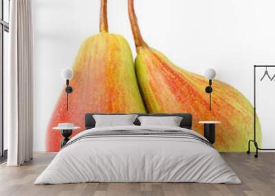 Two ripe red yellow pear closeup. Wall mural