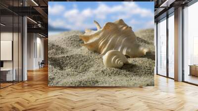 shells Wall mural