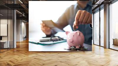 Close-up image of man hand putting coins in pink piggy bank for account save money. Planning step up, saving money for future plan, retirement fund. Business investment-finance accounting concept. Wall mural