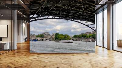 the Seine River with Pont des Arts and Pont Neuf. Ile de la Cite, 1st Arrondissement, Paris, France Wall mural