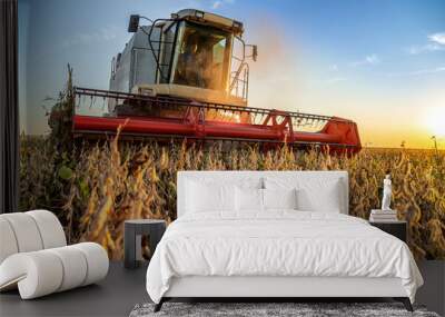 Combine harvester in soybean field Wall mural