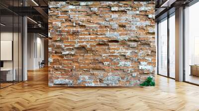 old brick wall Wall mural