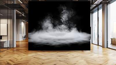 Smoke black ground fog cloud floor mist background steam dust dark white horror overlay. Ground smoke haze night black water atmosphere 3d magic spooky smog texture isolated transparent effect circle Wall mural