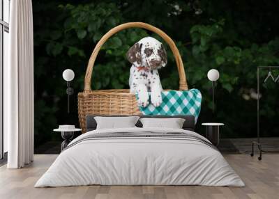 adorable brown dalmatian puppy in a basket Wall mural