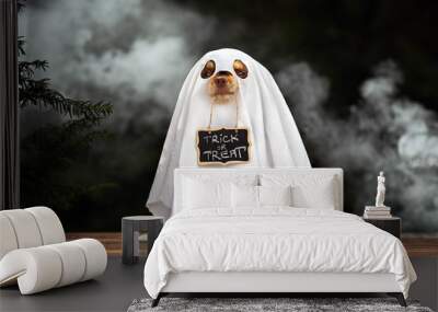 funny dog in ghost costume posing for Halloween Wall mural