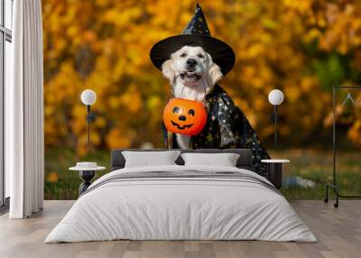 funny golden retriever dog posing for halloween in a costume Wall mural