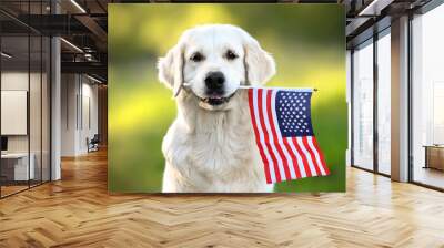 happy golden retriever dog holding American flag in mouth Wall mural