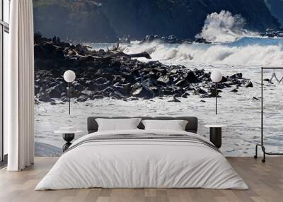 Rugged Pacific Ocean coast Wall mural