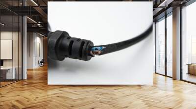 Broken wire on a electric plug Wall mural