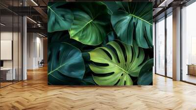 Lush Green Monstera Deliciosa Leaves Wall mural