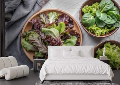 Set of Green Lettuce with leaves isolated on background, Flat lay view of Fresh salad vegetables, healthy with organic food. Wall mural