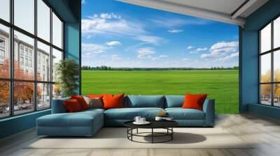 Beautiful natural scenic panorama green field of cut grass into and blue sky with clouds on horizon. Wall mural