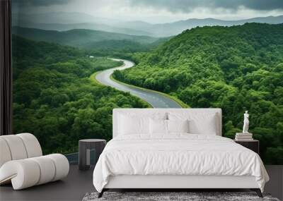 Aerial top view beautiful curve road on green forest in the rain season. Wall mural