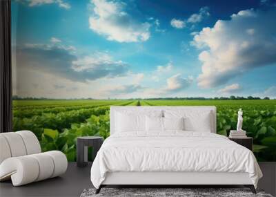 view of soybean farm agricultural field with sky, green agriculture background. Wall mural