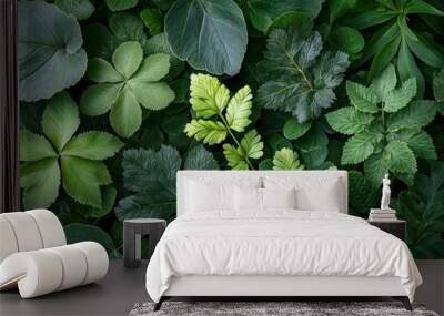 Lush Green Foliage with Varied Leaf Shapes and Textures Wall mural