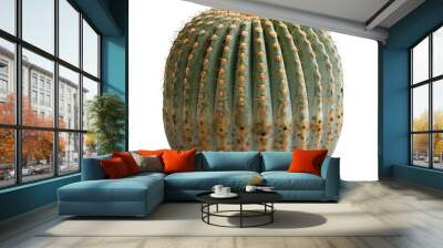 cactus isolated on white Wall mural