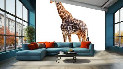 giraffe isolated on white Wall mural