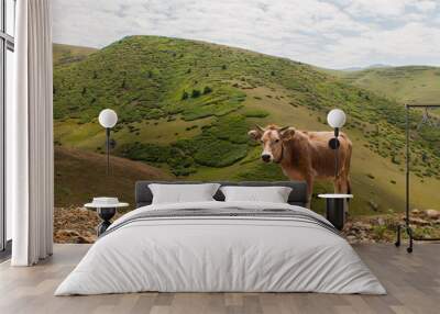 cow on the meadow Wall mural