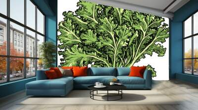 Vector Illustration of Fresh Green Kale Leaves Wall mural