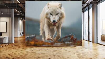 White Wolf Wall mural