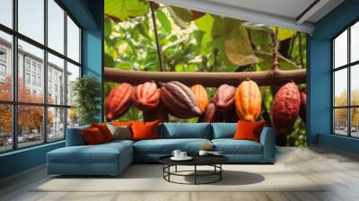 Ripe of cacao plant tree wallpaper Wall mural