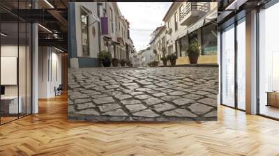 Closeup shot of a street with white buildings and plants Wall mural