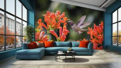 Hummingbird 2 Wall mural