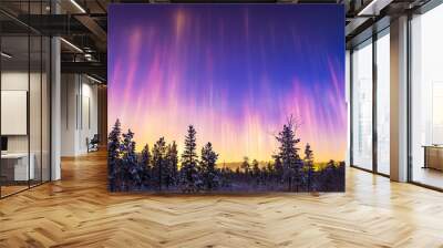 Beautiful colorful light pillars at night over the city Wall mural