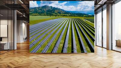 solar panel and renewable energy Wall mural