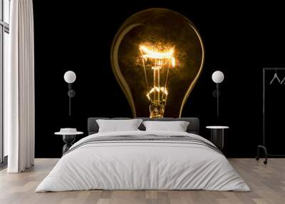 Abstract light bulb on the black background. Lamp light in the dark. Electric bulb. Glowing light in the dark. Wall mural