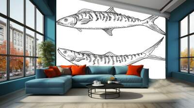 Fish Mackerel sketch hand drawn engraved vector illustration on isolated background. Seafood, underwater life, food. Graphic silhouette of scomber, design element for print, sign, paper, card, label Wall mural