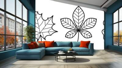 Set of autumn leaves. Hand drawn sketch icon of maple, chestnut and oak leaf. Doodle line style. Vector illustration isolated on white background. Wall mural