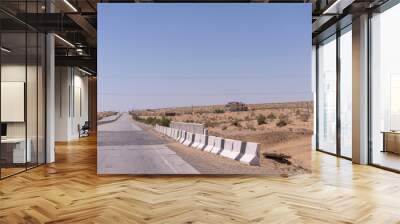 A road with a white fence on the side. The sky is blue and there are a few birds flying in the sky Wall mural