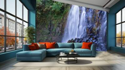 Mungalli Falls in the Atherton Tableland, FNQ, Australia. This scenic waterfall is surrounded by lush rainforest and diverse wildlife, offering a serene and picturesque nature experience Wall mural