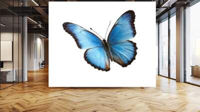 blue morpho butterfly isolated on white background , transparent png image Wall mural