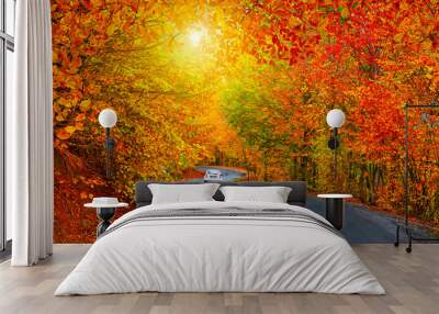 Car driving on the road in the forest in autumn season. Autumn colors bring the forest to life. Autumn landscape in the deep forest. Autumn view on a sunny day. Beautiful colors of jungle.  Wall mural