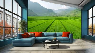 A lush green field with a winding path through it Wall mural