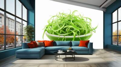 Shredded green papaya, food element, hand-drawn illustration, bright green, isolated on white background Wall mural