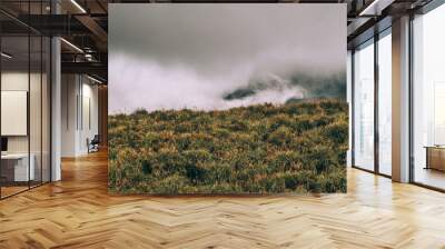 Foggy landscape Wall mural