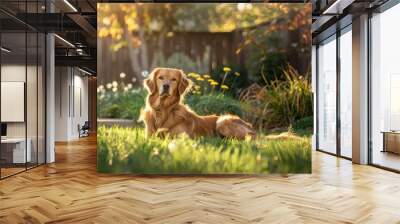 Golden retriever relaxing in sunlit garden AI Wall mural