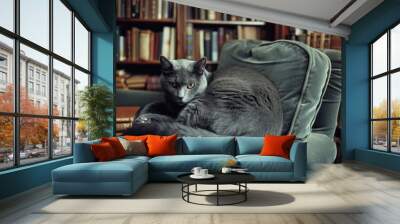 Relaxed chartreux cat lounging in a cozy library scene AI Wall mural