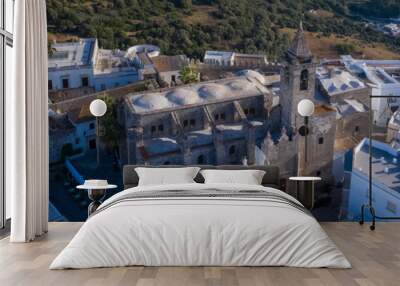 Aerial drone image of a white andalusian town in south Spain with church Wall mural