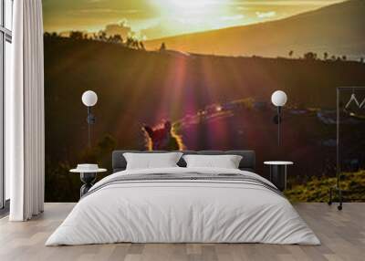 ATARDECER ANDINO - LLAMA Wall mural