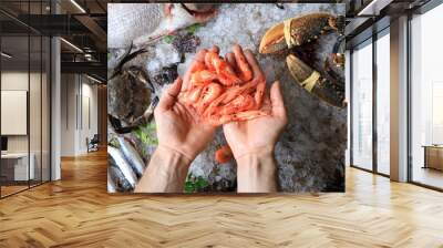 Close up top view of chef's hands full of small fresh prawns on a background of ice and sea food Wall mural