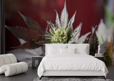 Weed Cannabis heart Wall mural