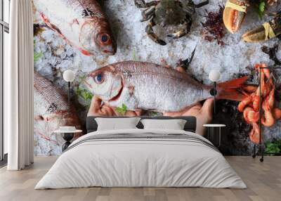 view from above of chef hands with a fresh fish on a table with ice and other seafood Wall mural