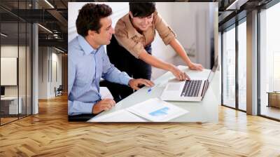 two professional colleagues looking at computer Wall mural